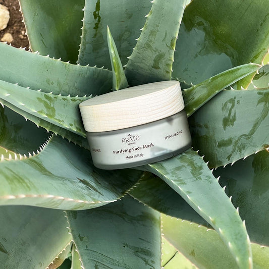 aloe vera skincare