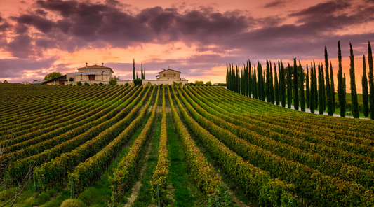 Natural vs. Organic vs. Clean vs. Synthetic Skincare: What's the Difference?