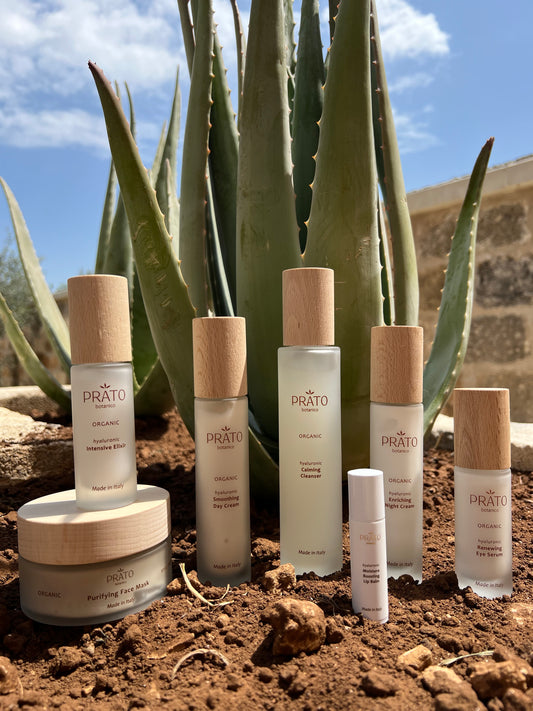 Prato Botanico hyaluronic skin care line next to aloe vera